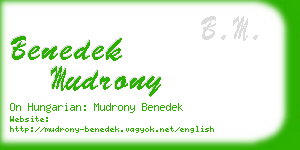 benedek mudrony business card